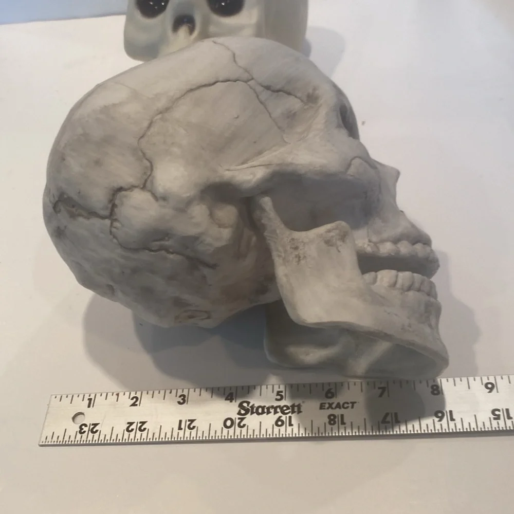 NWT & NWOT Set of 3 Composite Skulls - Picture 3 of 4